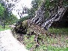 IMG_0401.jpg
